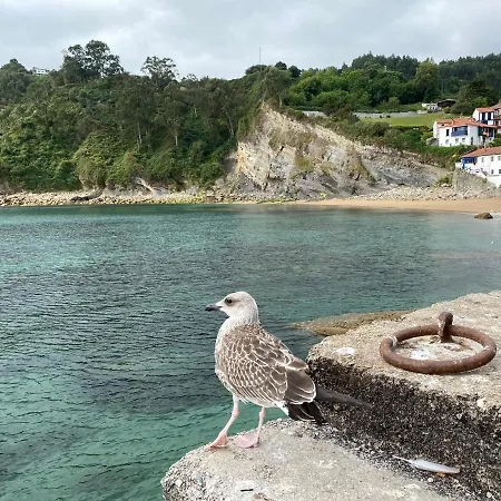 Apartamento San Miguel Appartement