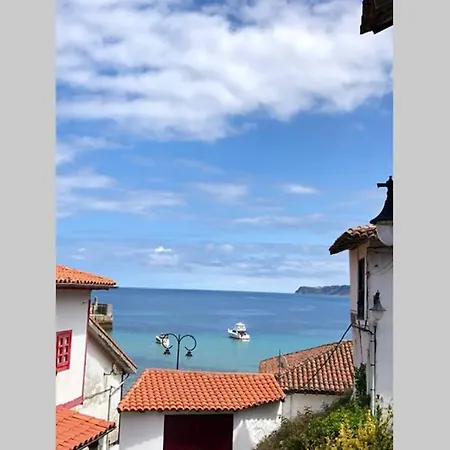 شقة Apartamento San Miguel