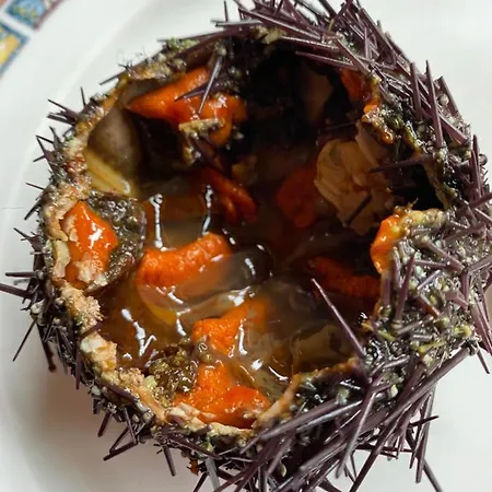 Apartamento San Miguel *